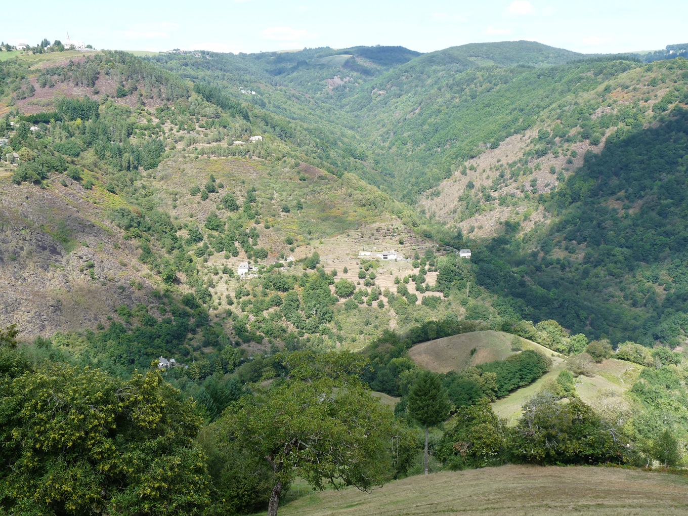 La seule Réserve naturelle régionale de l'Aveyron